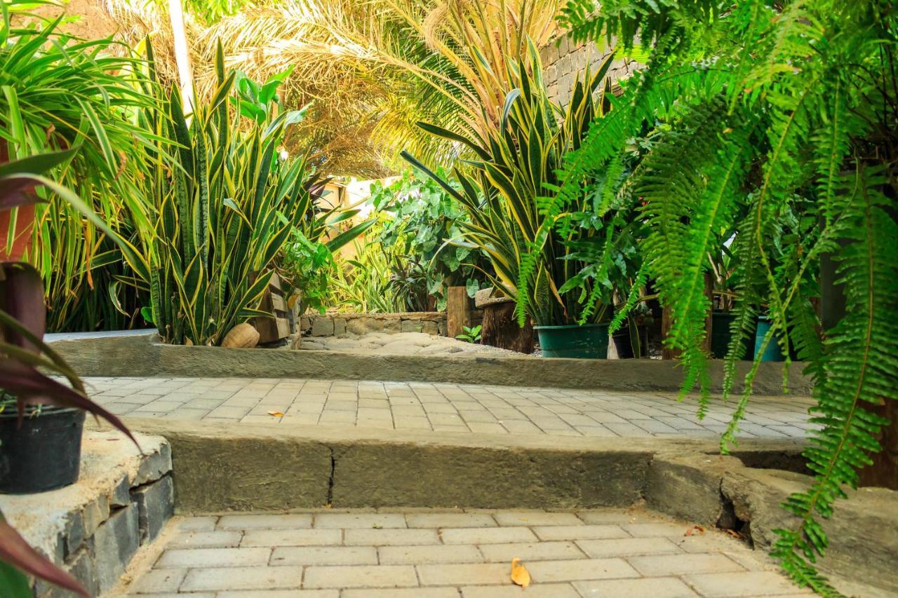 Pousada Quinta Ribeirinha Cidade Velha المظهر الخارجي الصورة